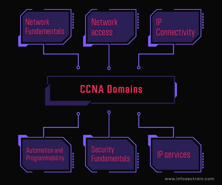 CCNA Domains